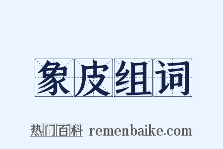 象皮组词是什么意思的图片